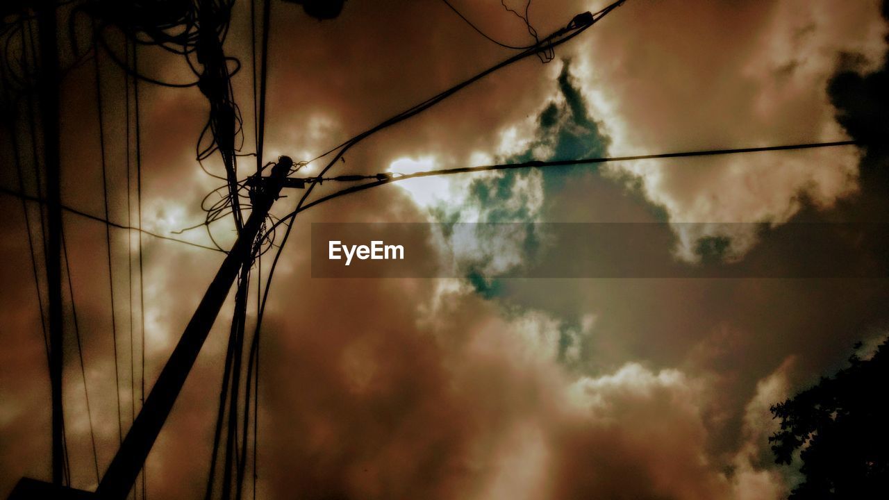 LOW ANGLE VIEW OF SILHOUETTE TREES AGAINST SKY AT NIGHT