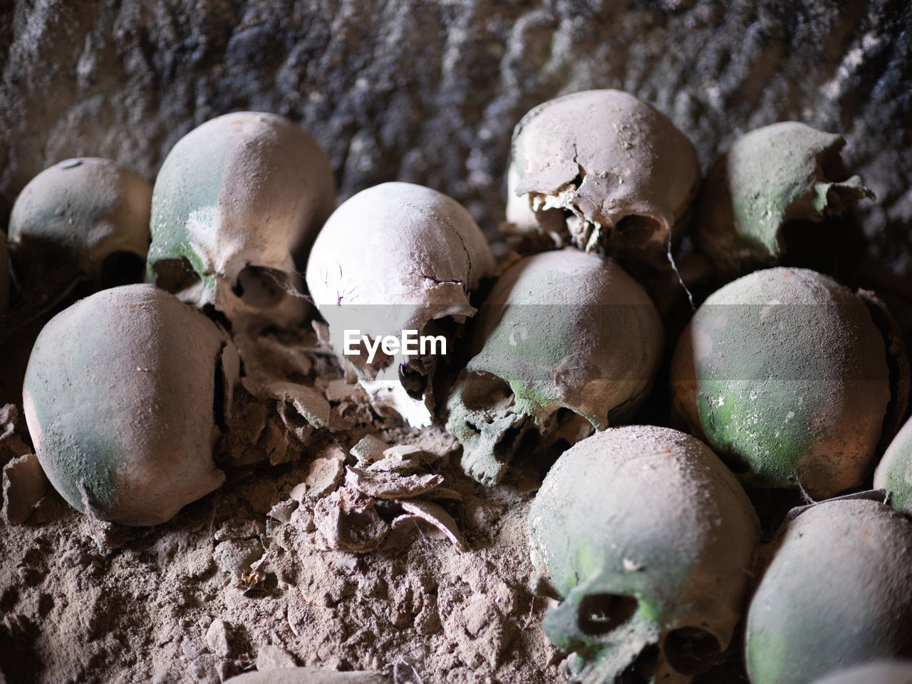 High angle view of human skulls