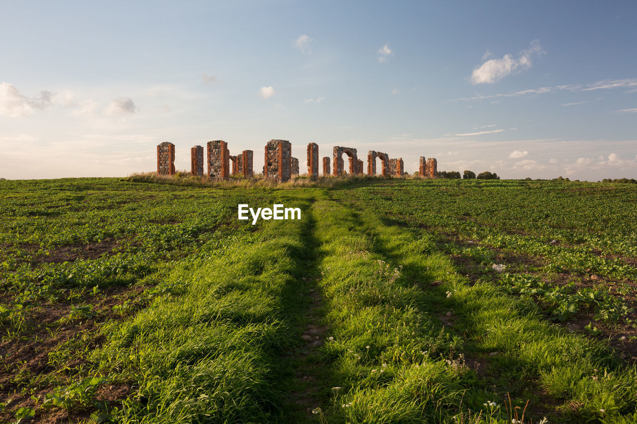 PANORAMIC VIEW OF FIELD AGAINST SKY