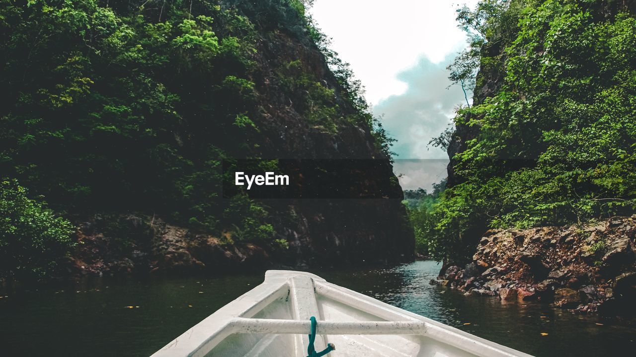 Scenic view of lake in forest against sky