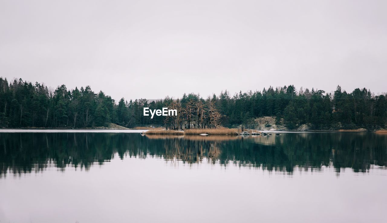 Forest and island in sweden reflecting in the sea