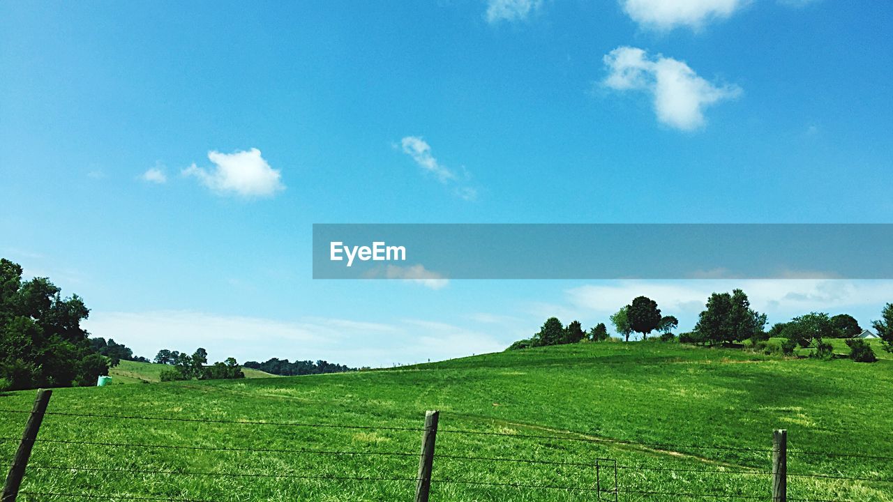 Scenic view of grassy landscape against sky