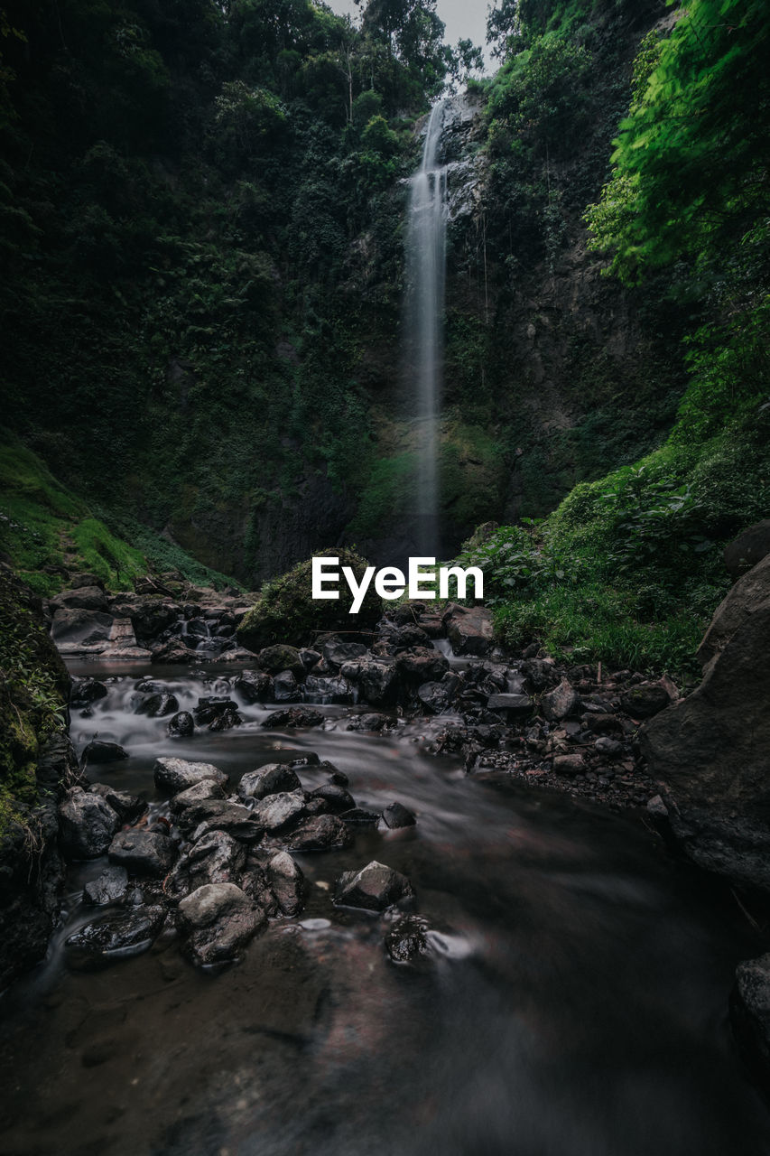 Scenic view of waterfall in forest