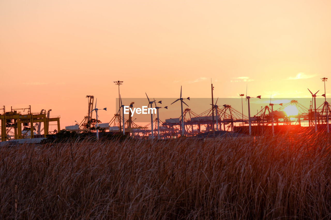PANORAMIC SHOT OF CRANES AGAINST SKY DURING SUNSET