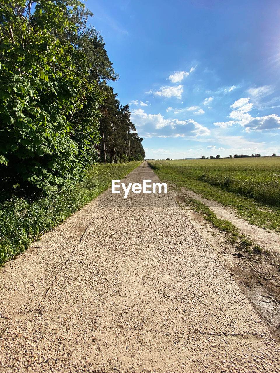 sky, landscape, plant, road, soil, environment, nature, field, land, the way forward, cloud, grass, tree, scenics - nature, diminishing perspective, no people, dirt road, transportation, rural area, footpath, beauty in nature, vanishing point, dirt, rural scene, outdoors, hill, travel, blue, tranquility, sunlight, agriculture, non-urban scene, horizon, day, infrastructure, tranquil scene, asphalt, green, travel destinations, natural environment, summer