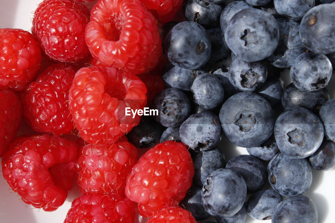 FULL FRAME SHOT OF BLUEBERRIES