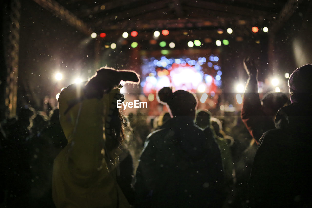 Group of people at music concert