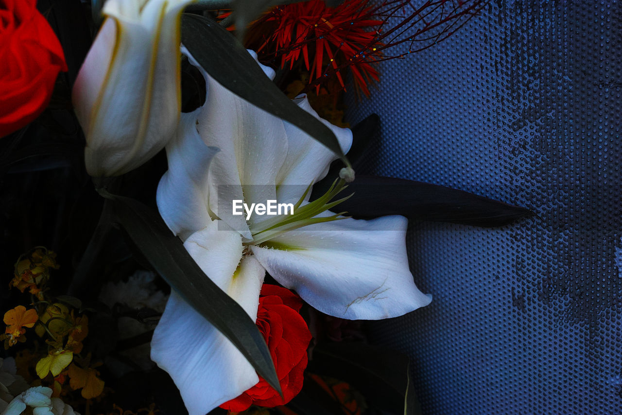 CLOSE-UP OF FLOWERS