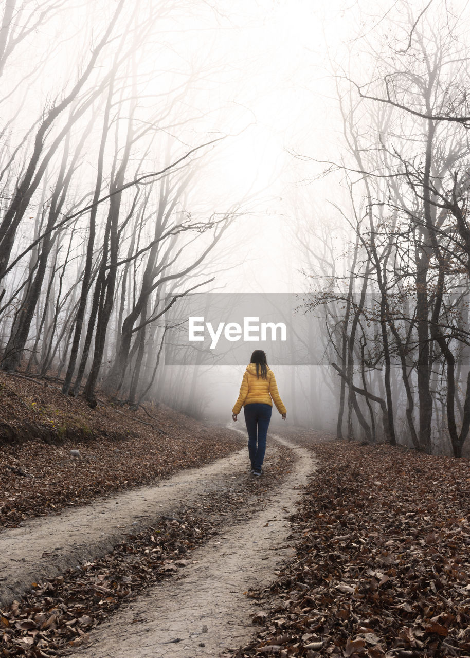 Girl walking through the foggy autumn forest. the girl is alone in the misty forest. 