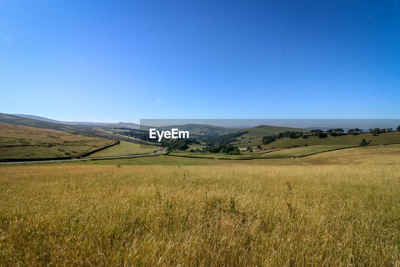 Scenic view of landscape against clear blue sky