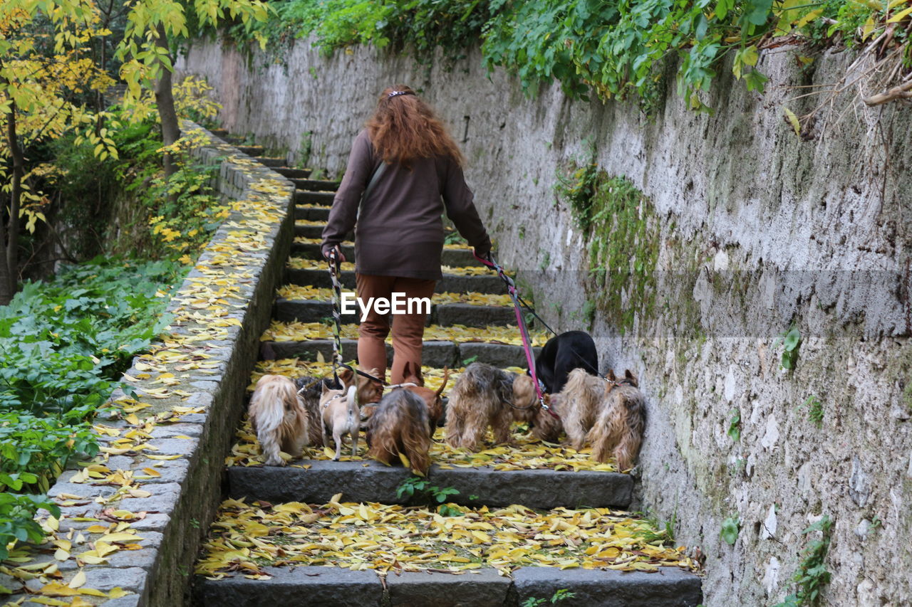 REAR VIEW OF WOMAN WITH DOG ON FLOOR