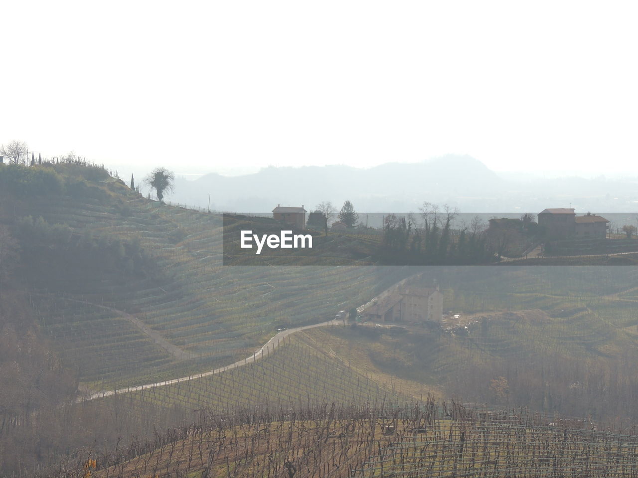 LANDSCAPE WITH TREES AGAINST SKY