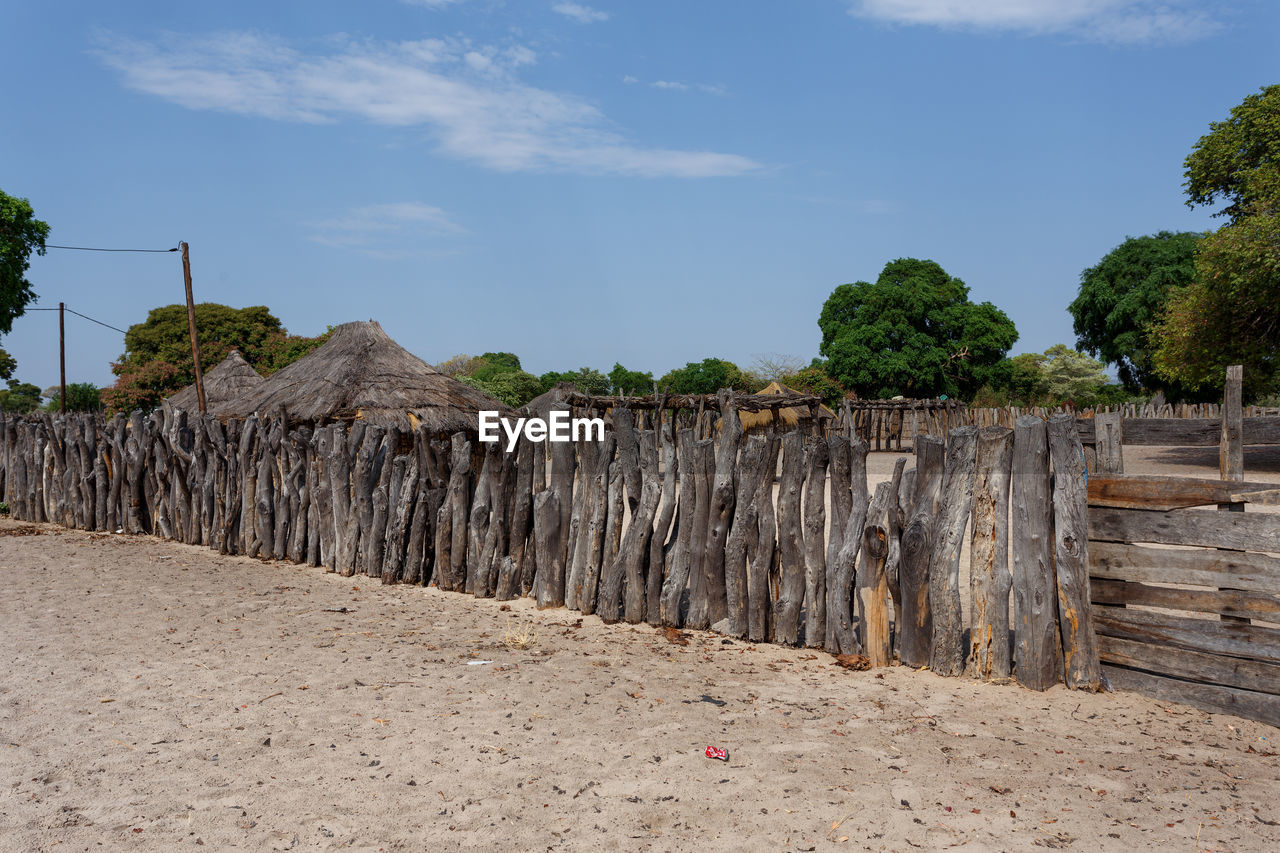 PANORAMIC SHOT OF TREES ON LAND