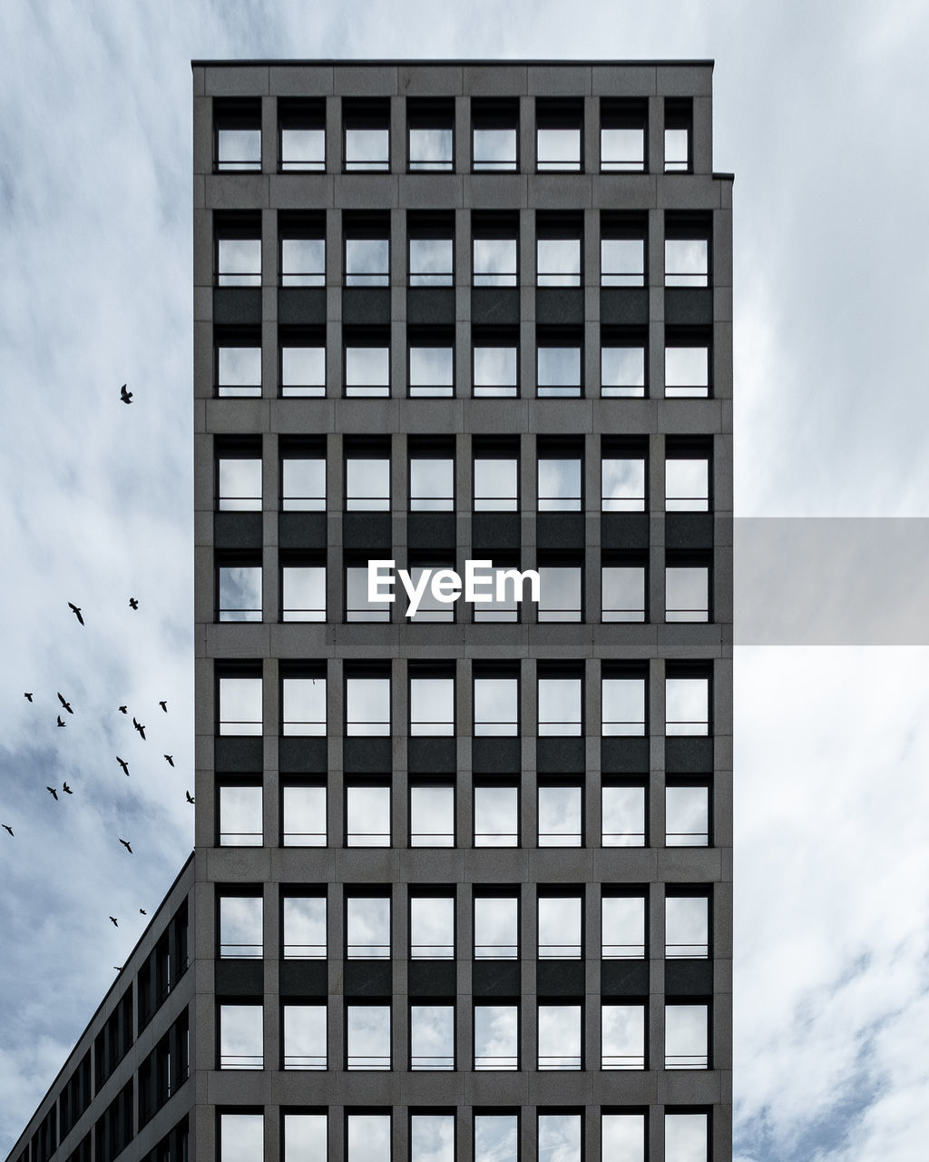 Low angle view of birds flying by building against sky