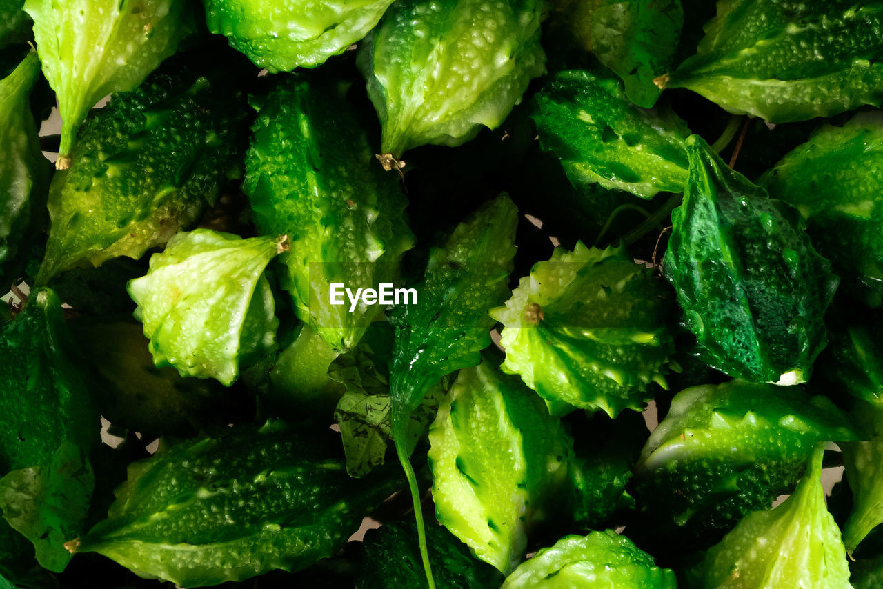 FULL FRAME SHOT OF CHOPPED GREEN PLANT