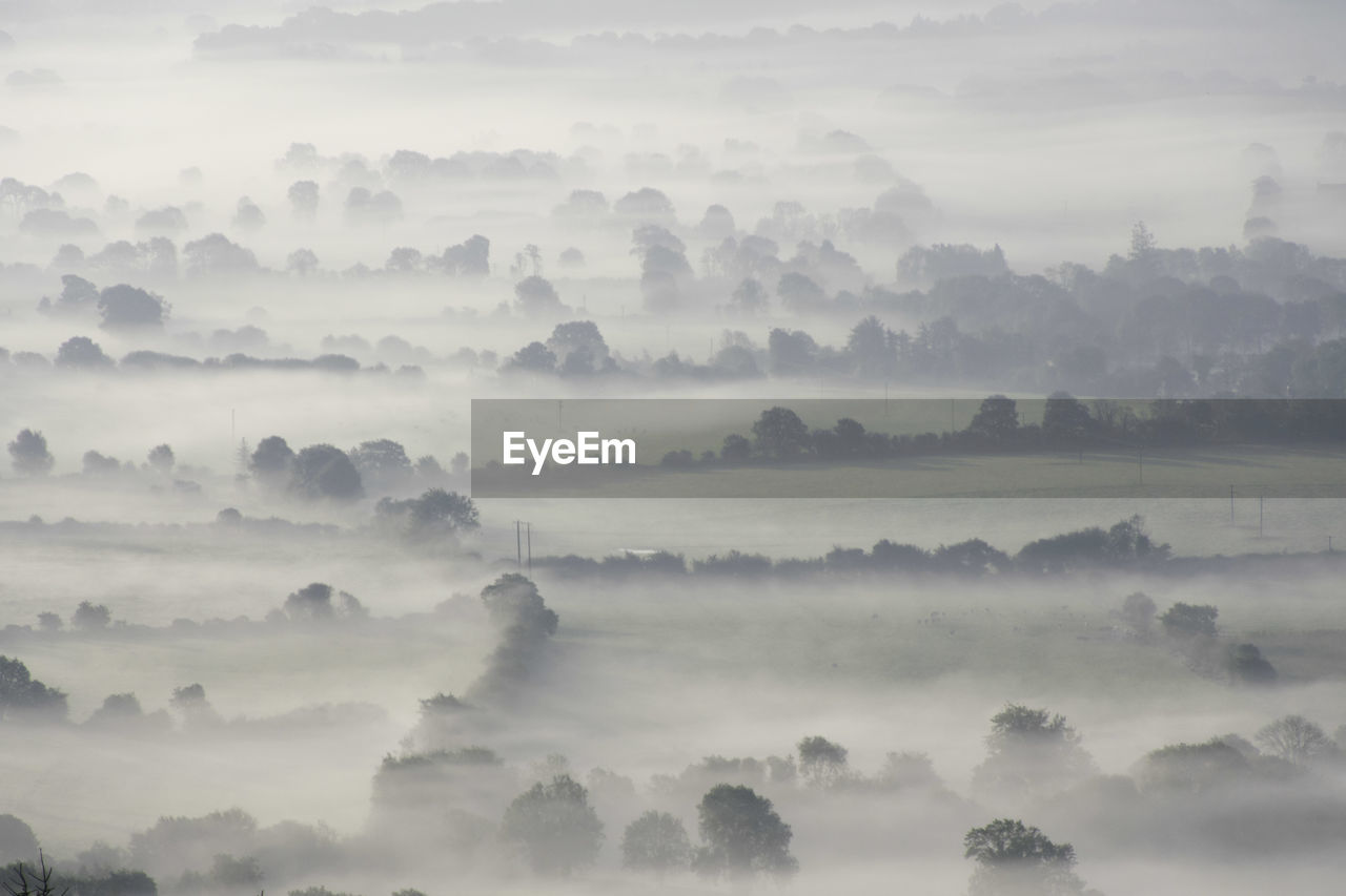 Mist covered fields and hedgerows in a rural landscape