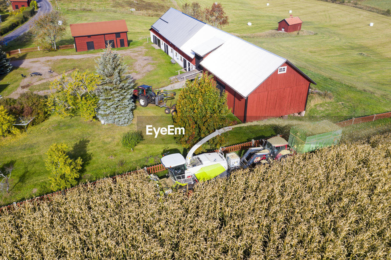 High angle view of harvesting maize field