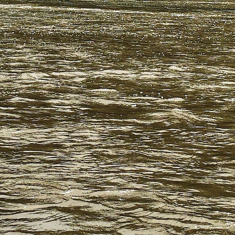 REFLECTION OF TREES IN WATER