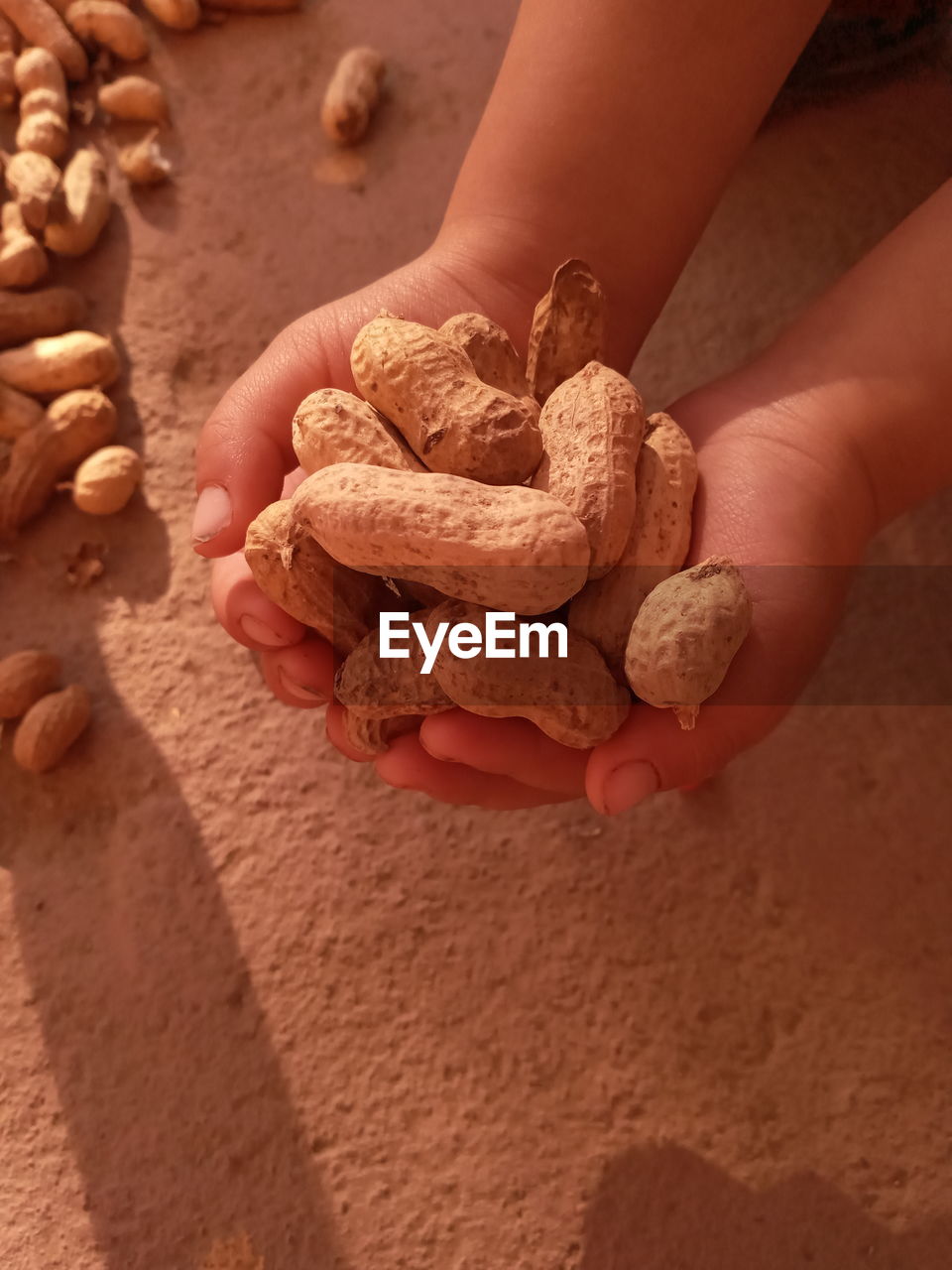 HIGH ANGLE VIEW OF PERSON HOLDING BREAD ON LAND