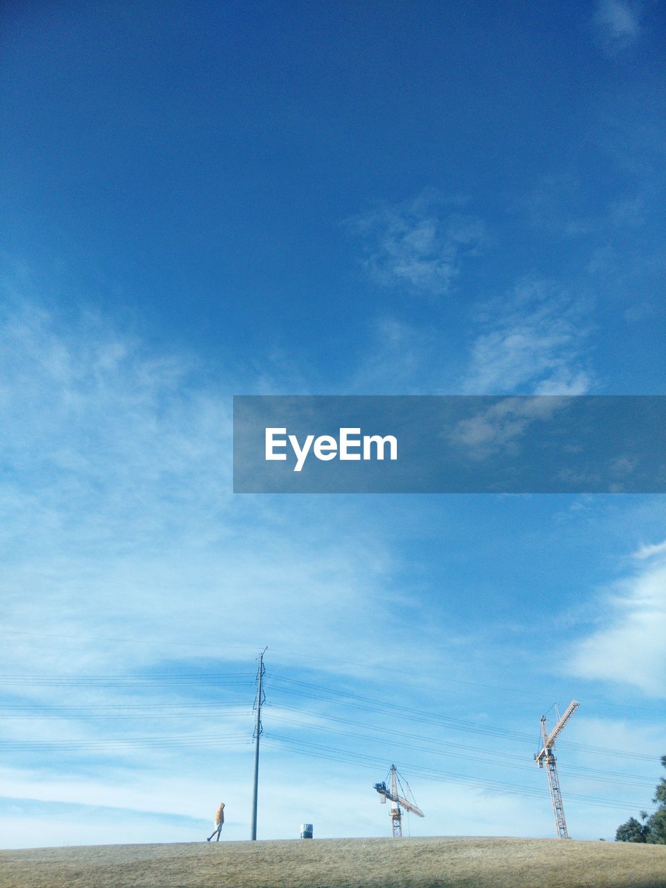 MAN AGAINST BLUE SKY AND TREE