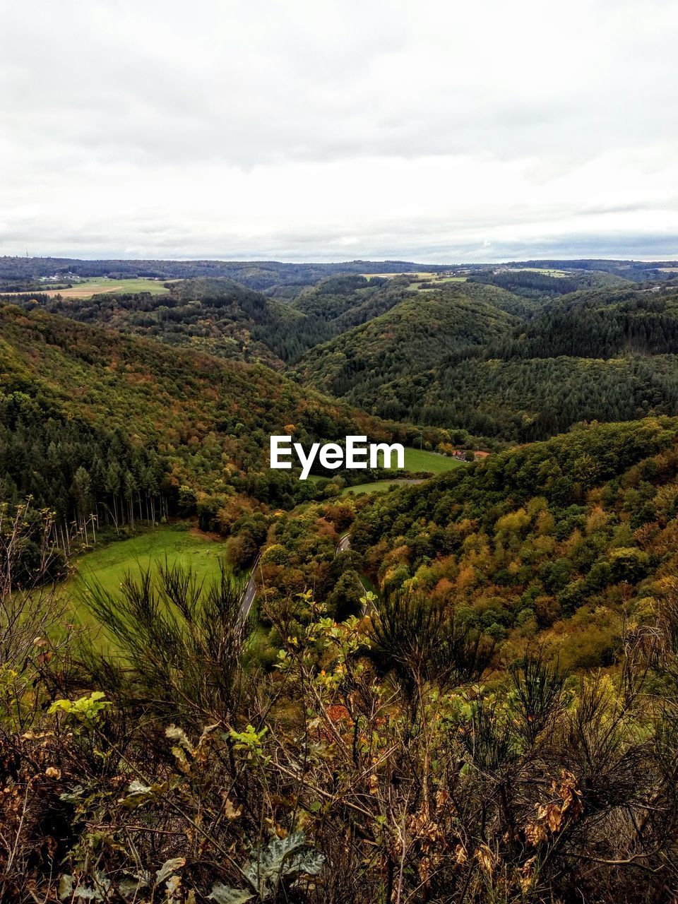 SCENIC VIEW OF LANDSCAPE AND TREES AGAINST SKY