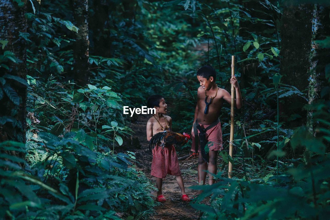 Boys with rooster standing amidst trees