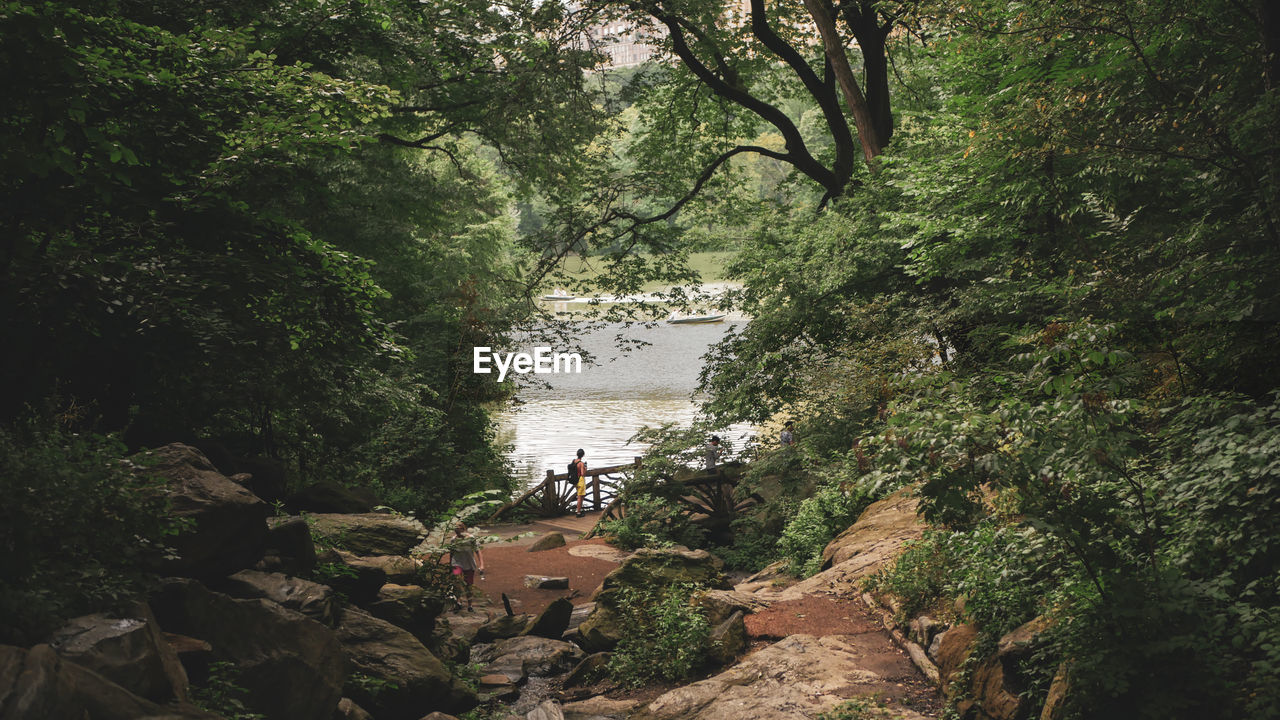 HIGH ANGLE VIEW OF PEOPLE ON ROCKS IN FOREST