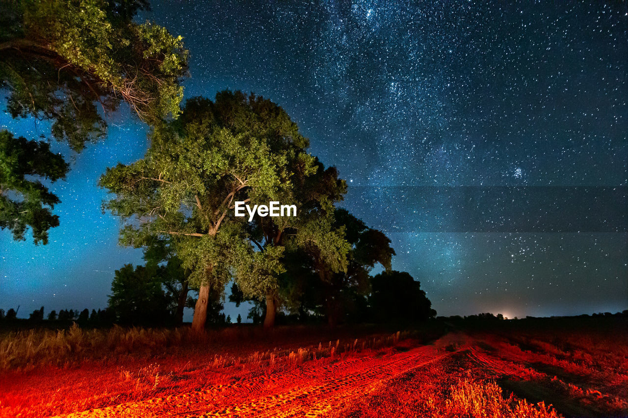 scenic view of field against sky at night