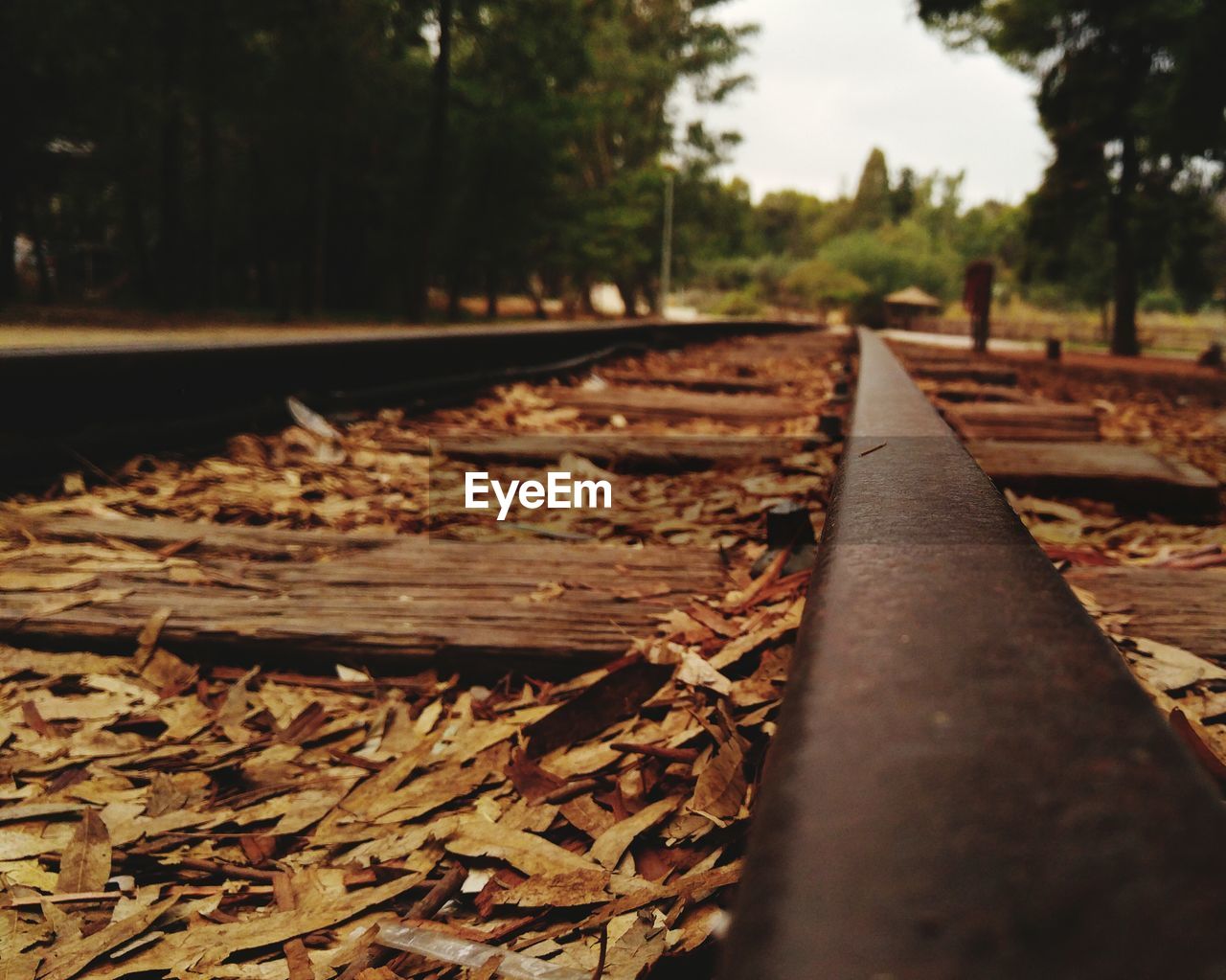 CLOSE-UP OF RAILROAD TRACK AGAINST SKY