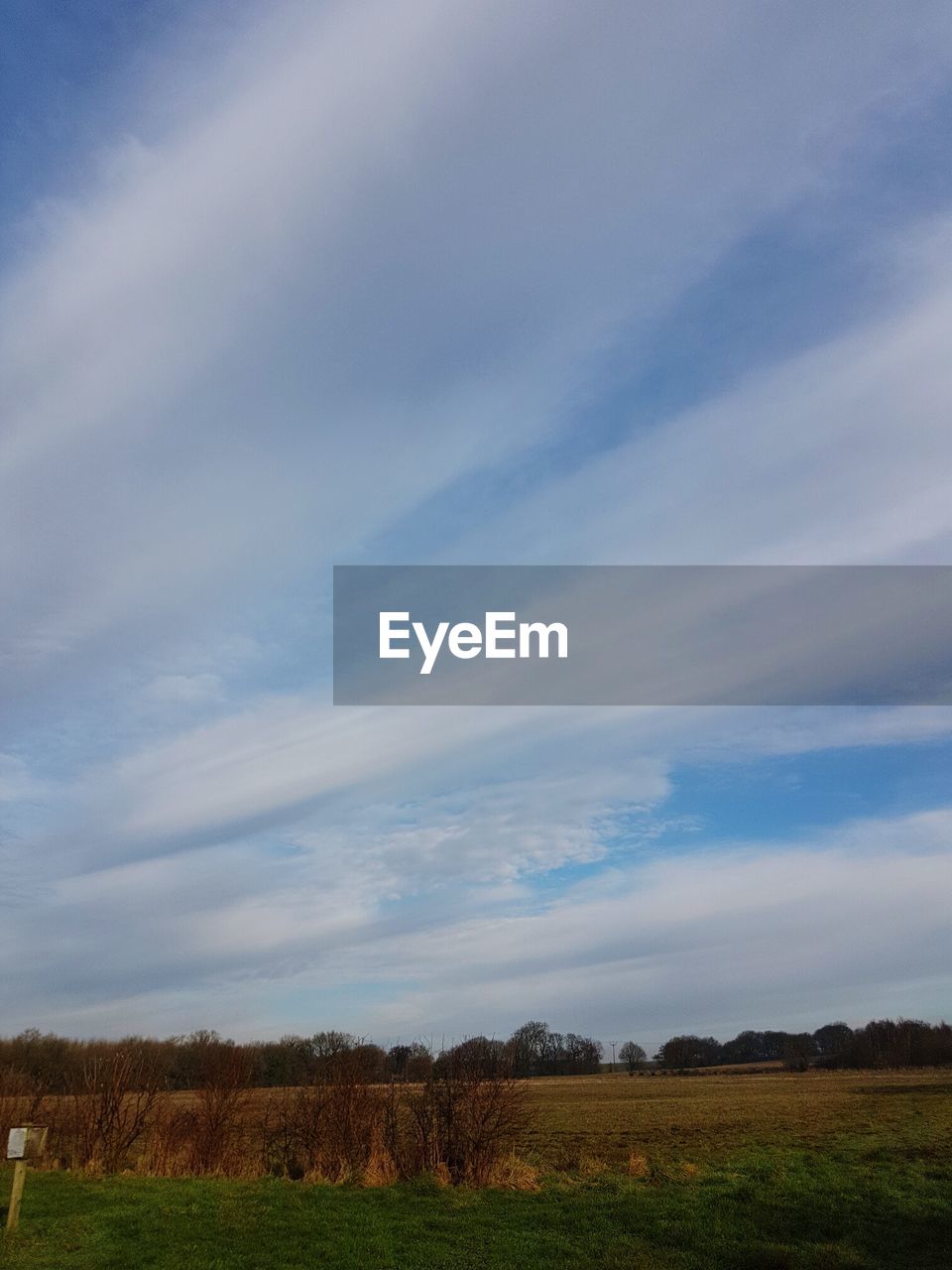 VIEW OF FIELD AGAINST SKY