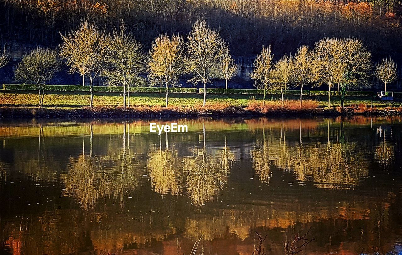 SCENIC VIEW OF LAKE AGAINST TREES