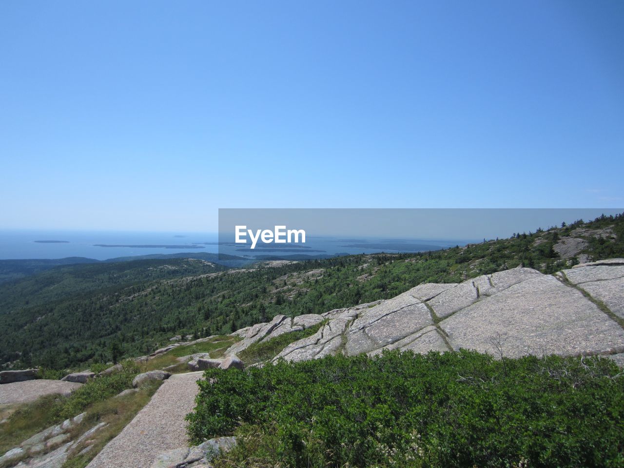 Scenic view of landscape against clear blue sky