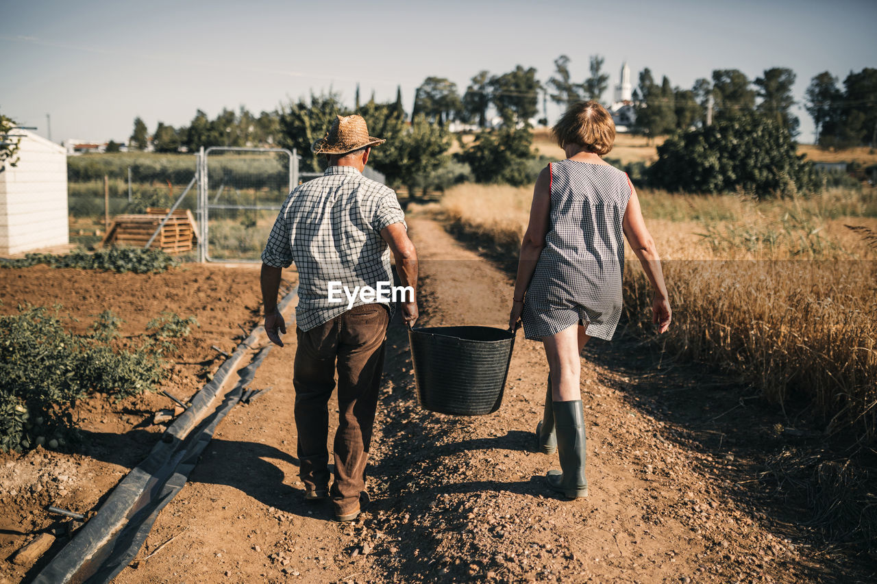 Working senior couple holding basket while walking on field during sunny day