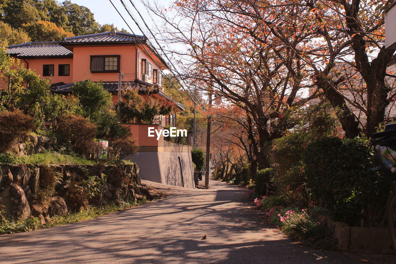 FOOTPATH AMIDST TREES AND BUILDING