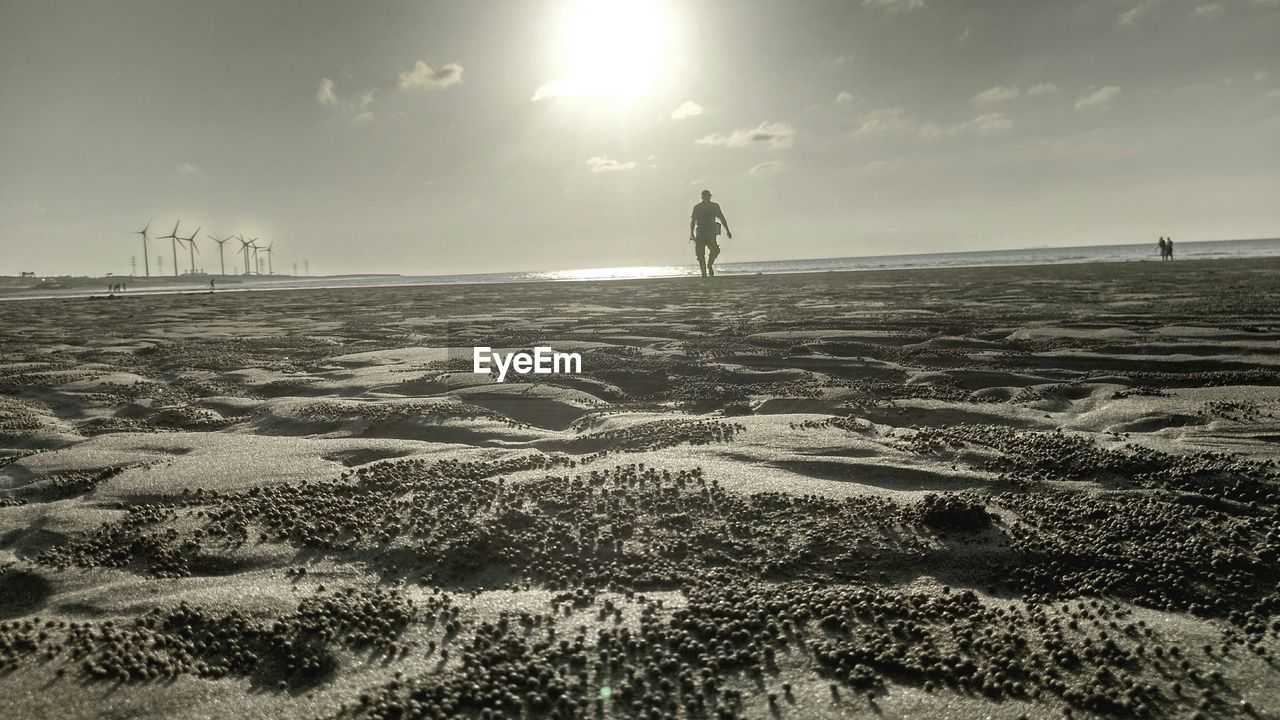 Rear view of man walking on sand against sea at beach