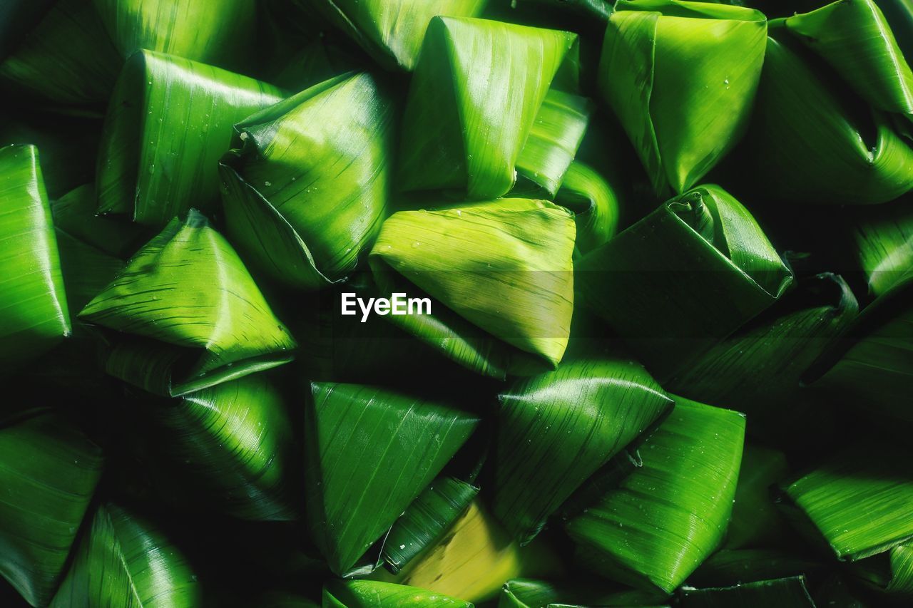 FULL FRAME SHOT OF FRESH GREEN LEAVES