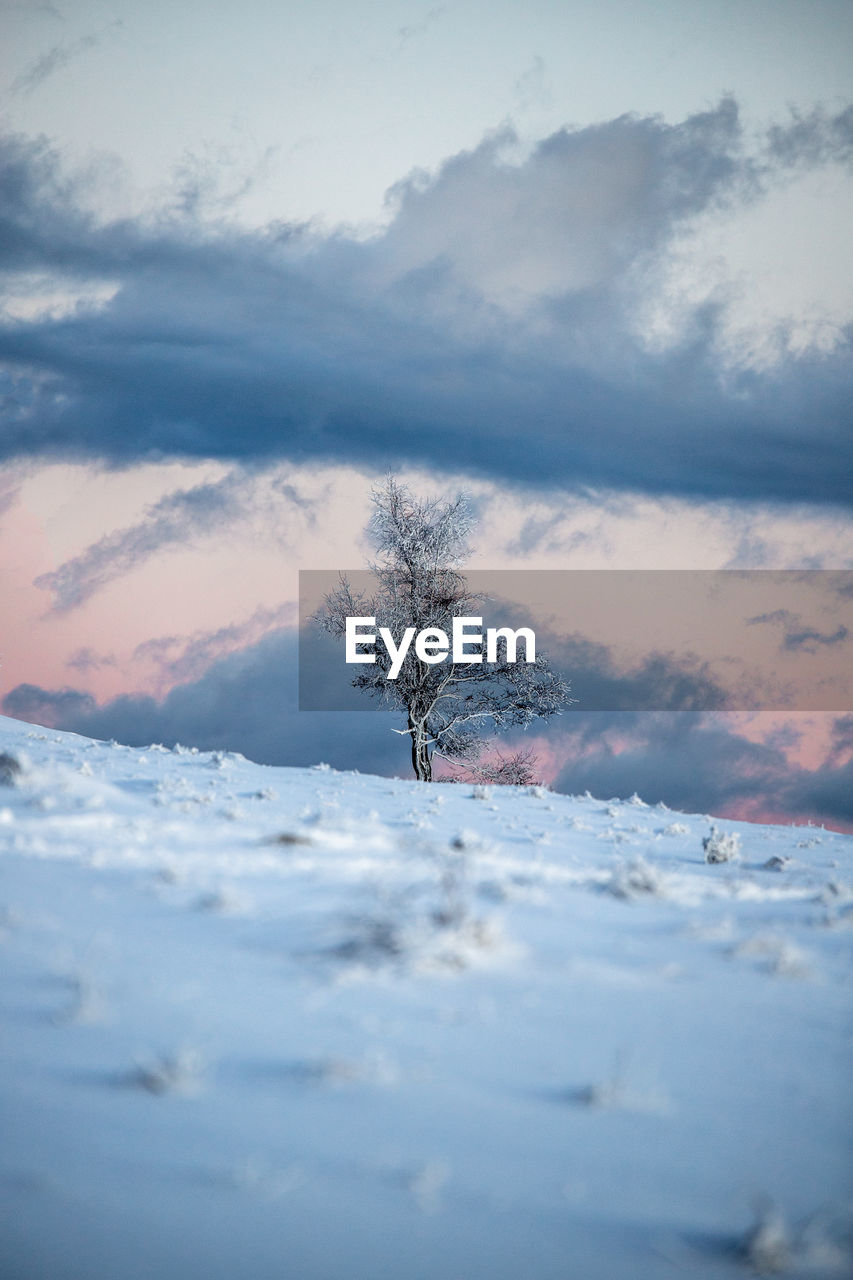 Snow covered field against sky