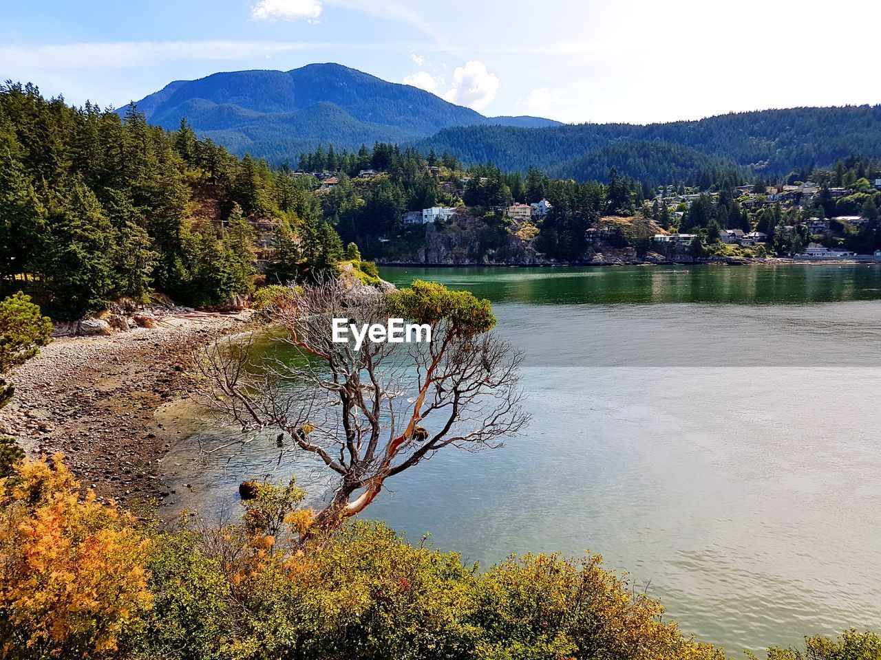 SCENIC VIEW OF LAKE BY TREES AGAINST SKY