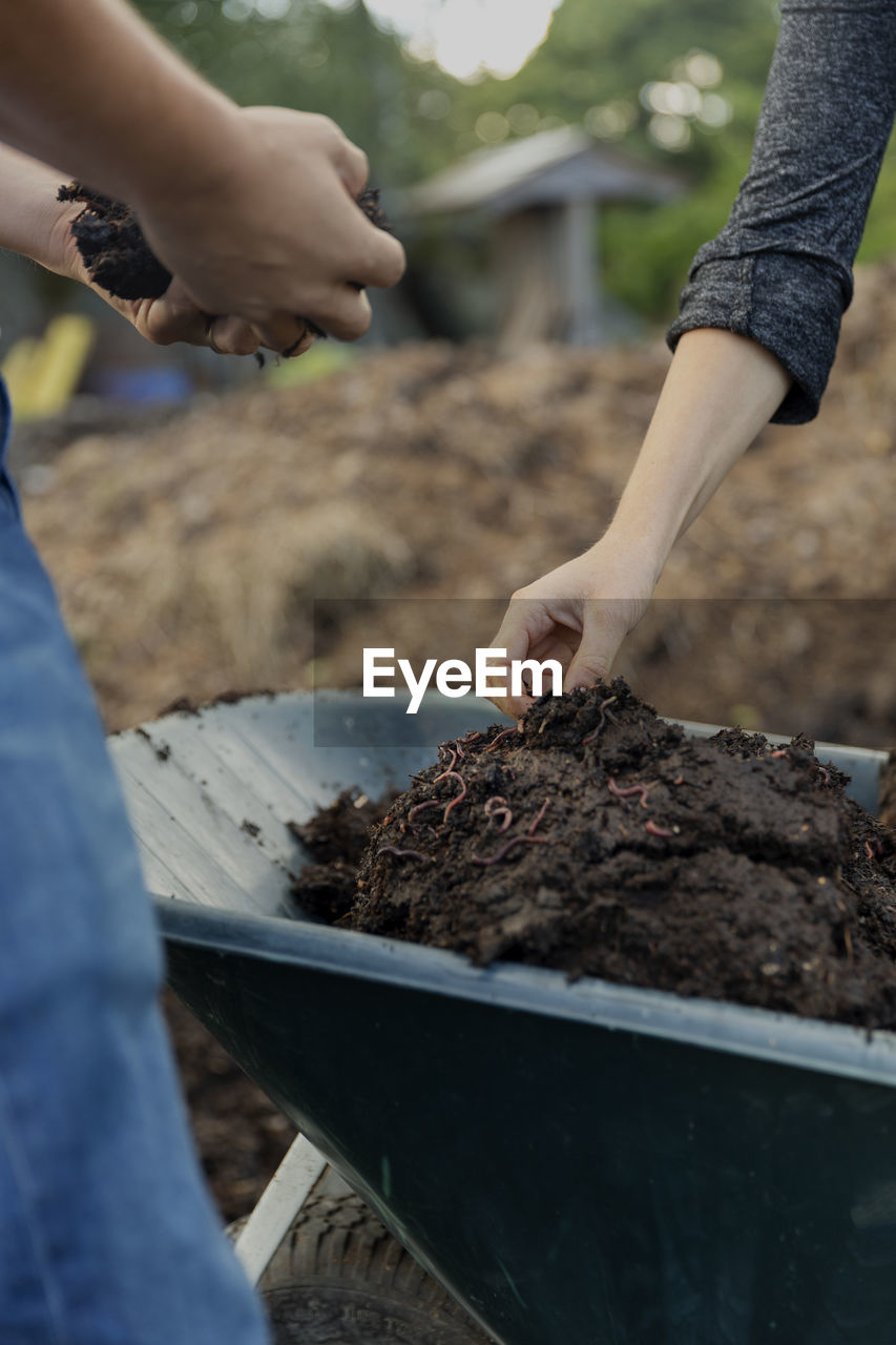 Hands checking dirt on wheelbarrow