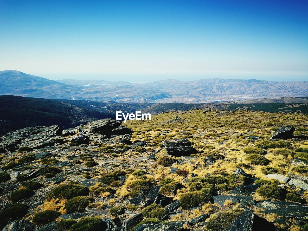 Scenic view of landscape against clear sky