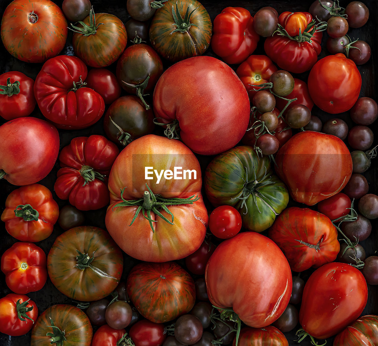 Multicolored tomatoes of different sizes and types, in appearance, a horizontal composition.poster