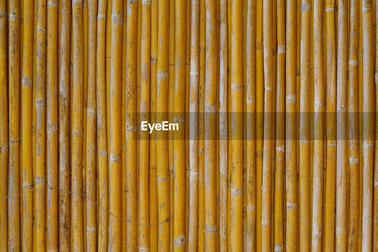 full frame shot of yellow bamboos