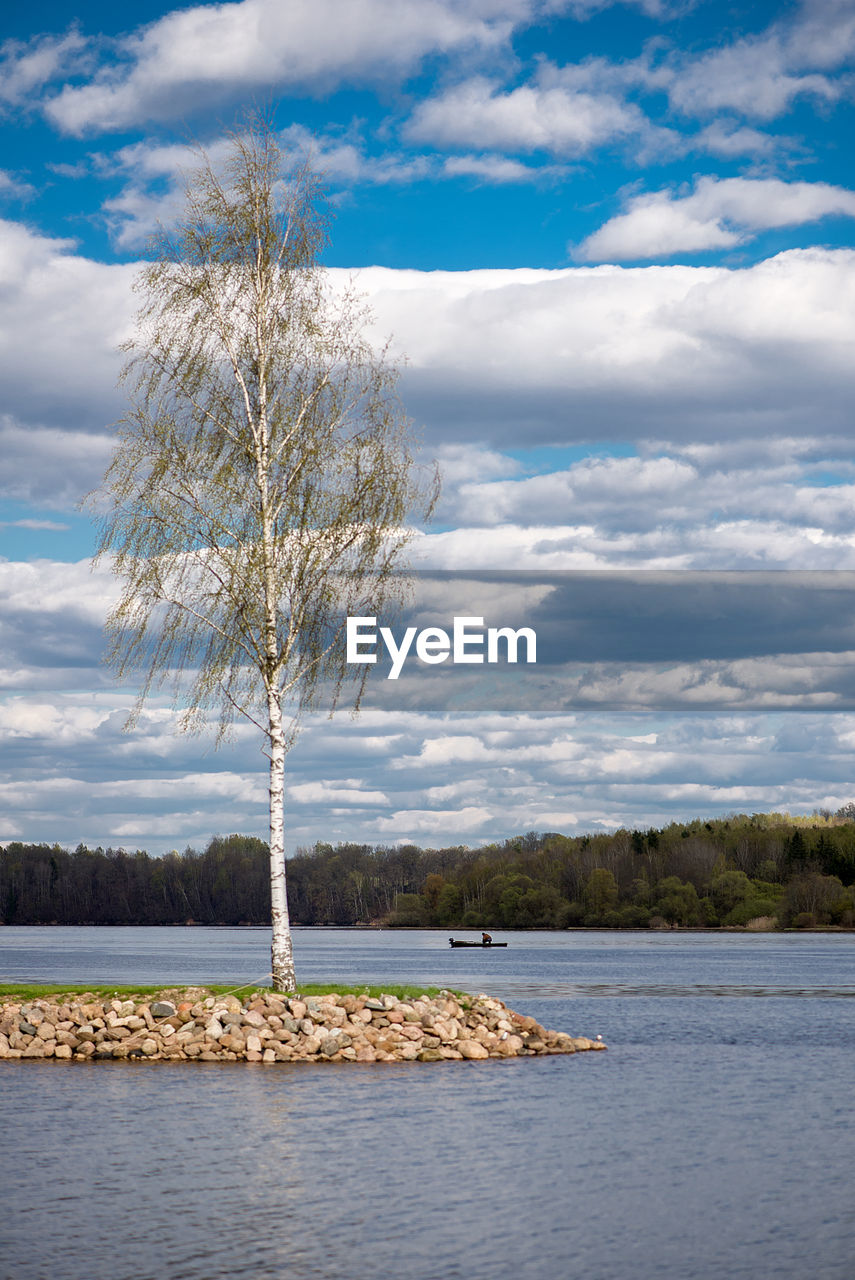 Bare tree by lake against sky