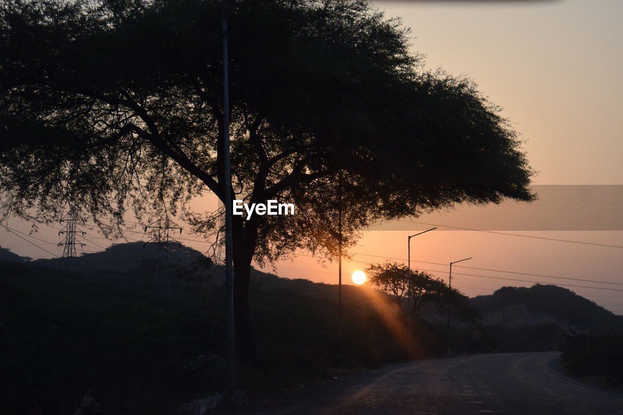 SILHOUETTE TREE BY ROAD DURING SUNSET