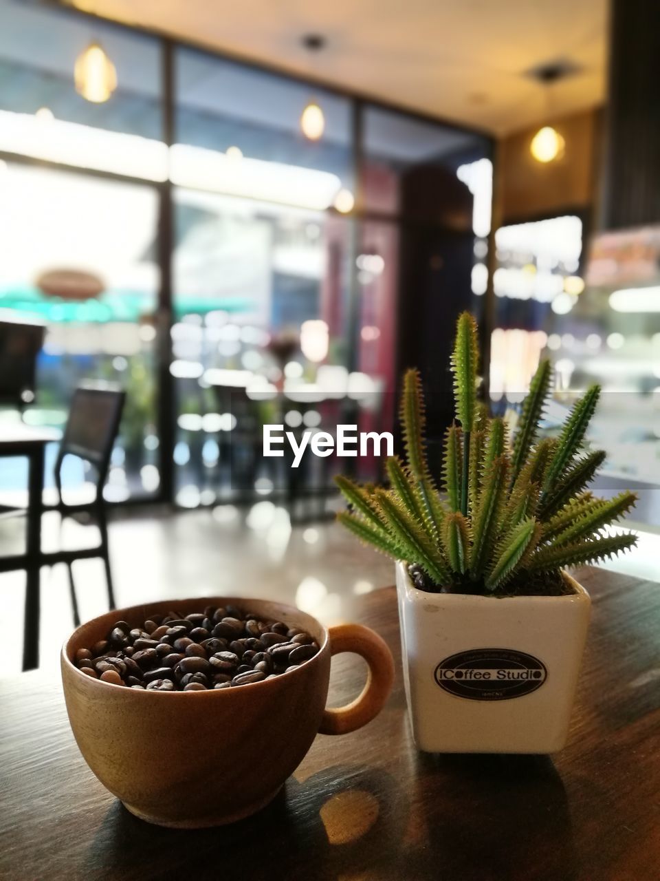 CLOSE-UP OF POTTED PLANT IN RESTAURANT