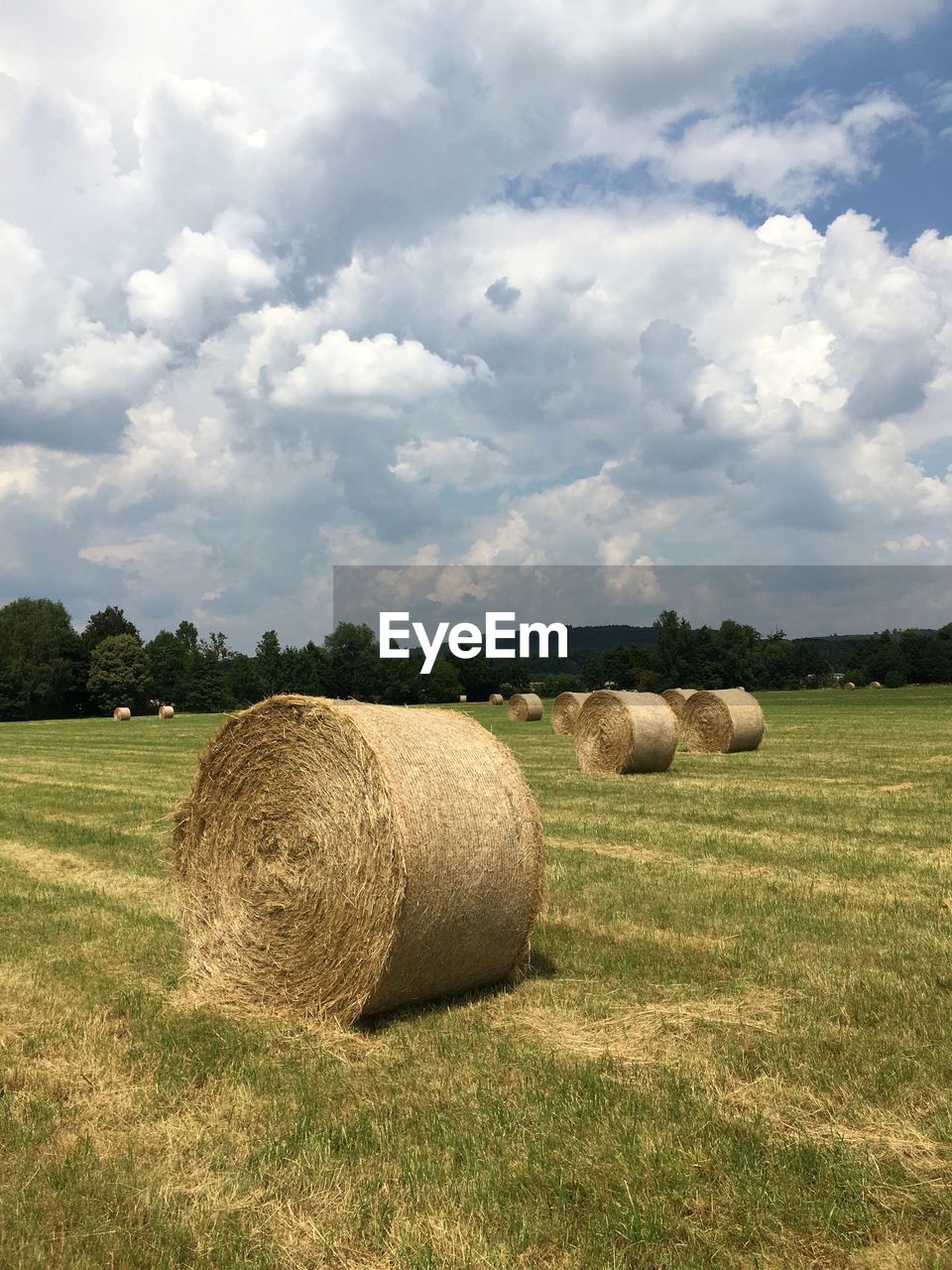 Hay bales on field against cloudy sky during sunny day