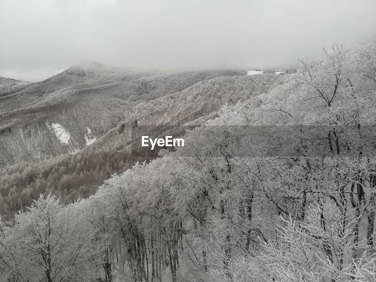 SCENIC VIEW OF SNOW COVERED LANDSCAPE