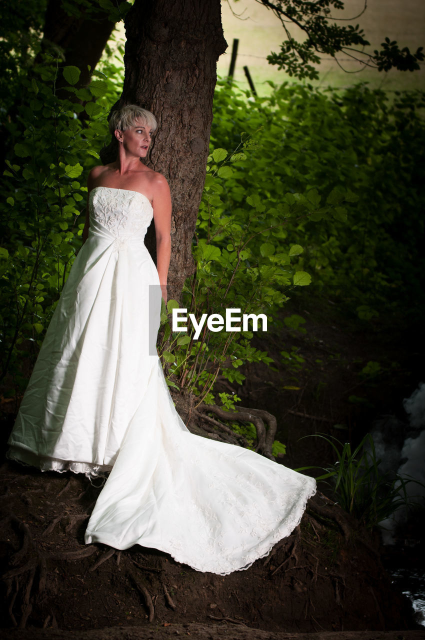 Bride standing by tree in forest