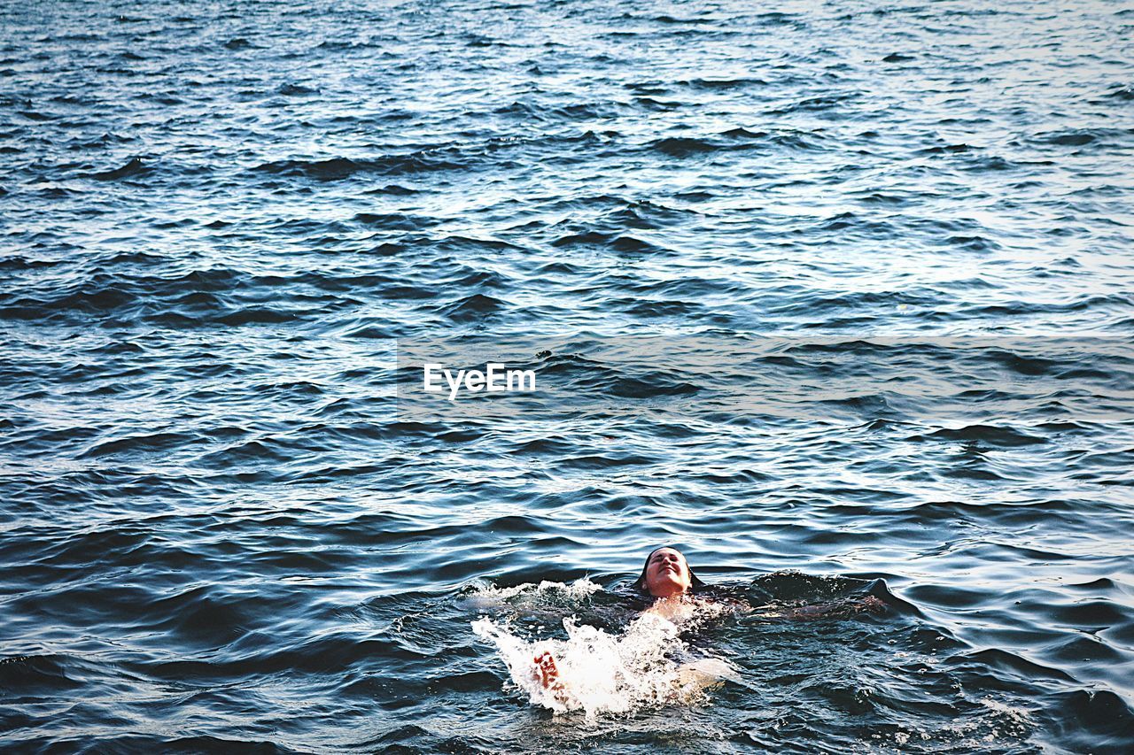 DOG SWIMMING ON SEA