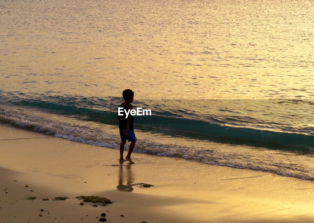 Full length rear view of man standing on beach